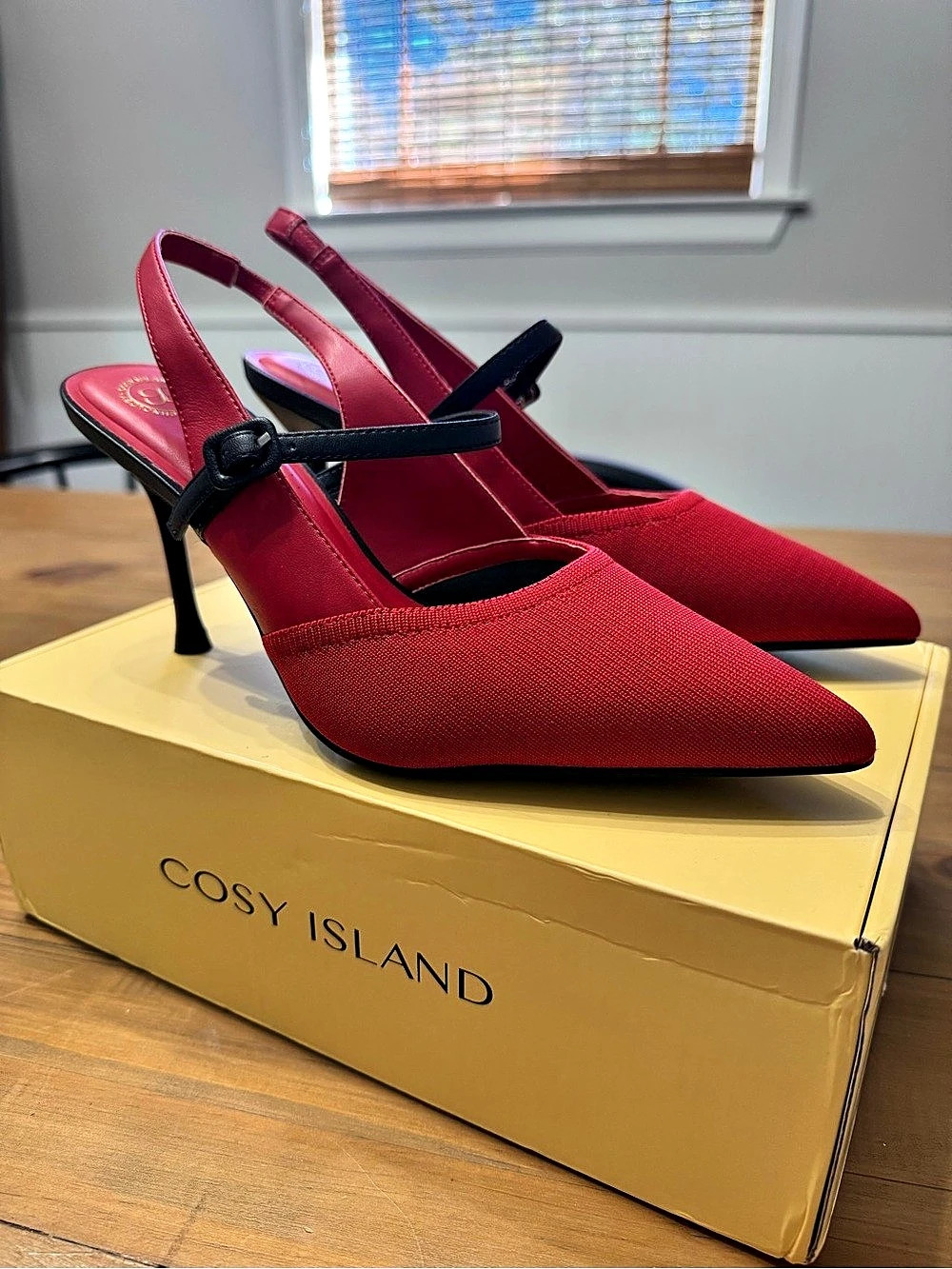 Cosy Island Bicolor Strapped Pointed Toe Stiletto Pump Red & Black US 8